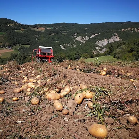 Il Mulino Della Rocca Çiftlik konaklama Berceto
