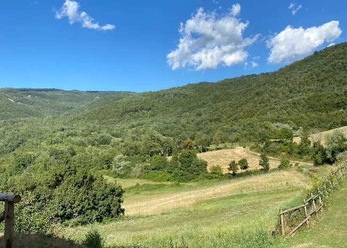 Il Mulino Della Rocca 팜스테이 *