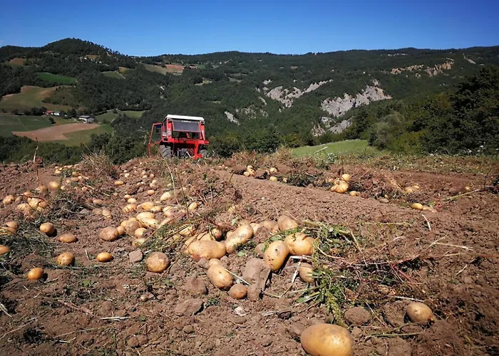 Il Mulino Della Rocca 팜스테이 베르세토