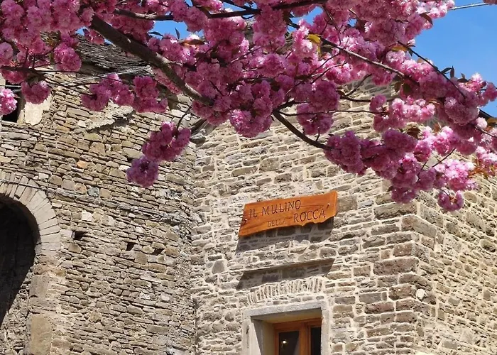 Il Mulino Della Rocca 팜스테이 베르세토